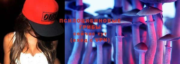 СК Алзамай