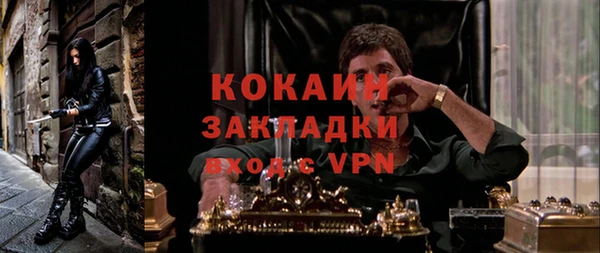 амф Алексин
